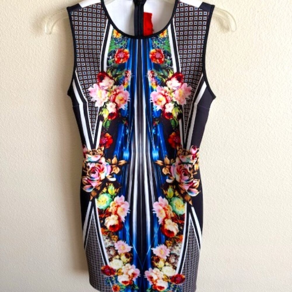 clover canyon floral stripe sleeveless dress